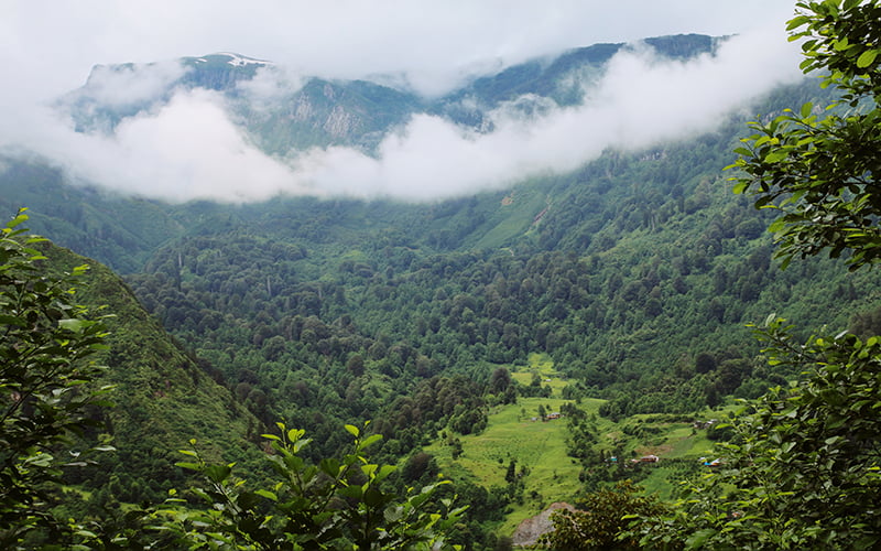 Artvin'de Gezilecek Yerler