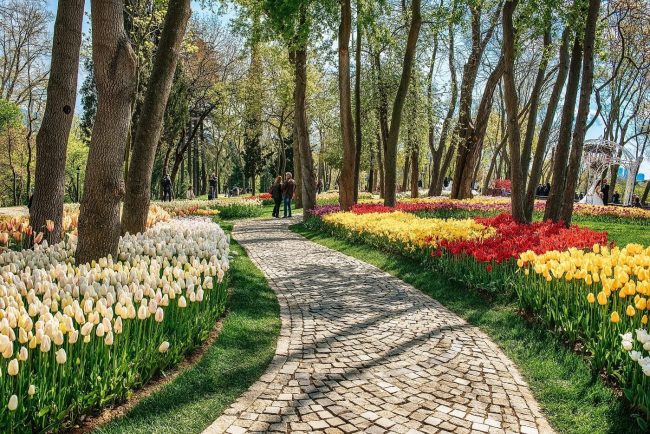 İstanbul Emirgan Korusuna Nasıl Gidilir