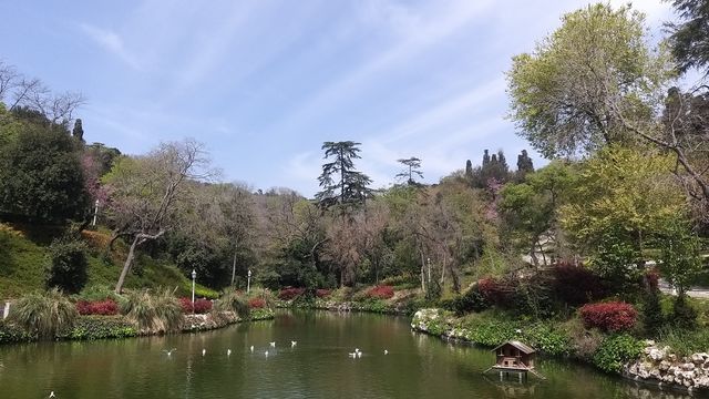 İstanbul Yıldız Parkı Nerede