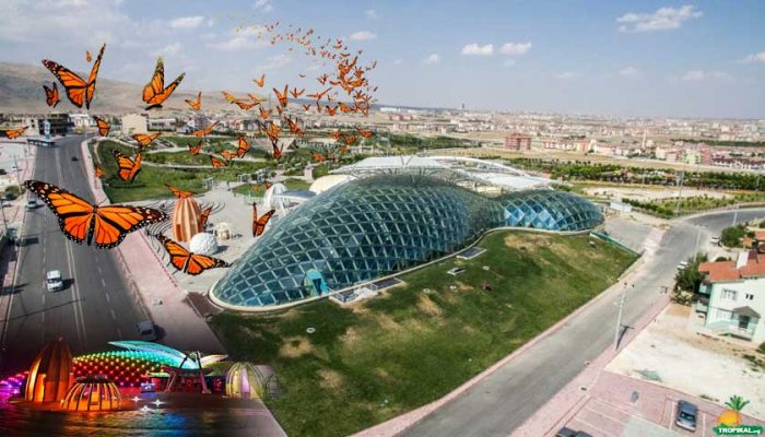Konya Tropikal Kelebek Bahçesi